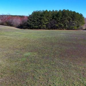 Photo #72 of 7941 Sugar Hill Road, Brookneal, VA 48.6 acres