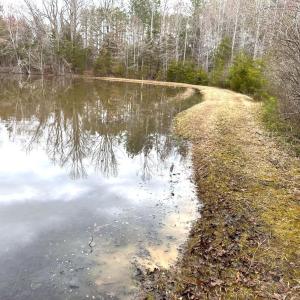 Photo #86 of 7941 Sugar Hill Road, Brookneal, VA 48.6 acres