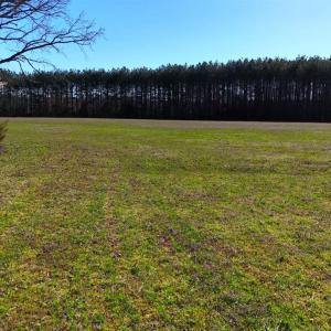 Photo #67 of 7941 Sugar Hill Road, Brookneal, VA 48.6 acres