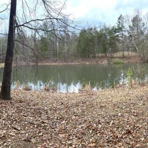 Photo #65 of 7941 Sugar Hill Road, Brookneal, VA 48.6 acres