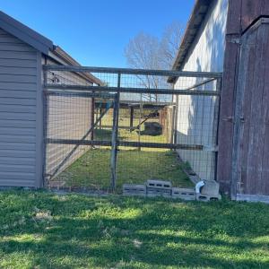 Photo #49 of 7941 Sugar Hill Road, Brookneal, VA 48.6 acres