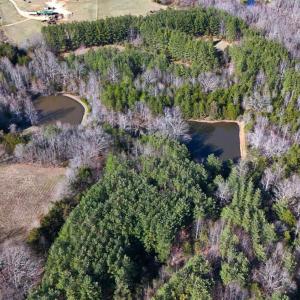 Photo #79 of 7941 Sugar Hill Road, Brookneal, VA 48.6 acres