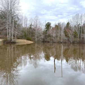 Photo #83 of 7941 Sugar Hill Road, Brookneal, VA 48.6 acres