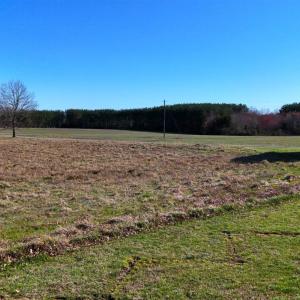 Photo #51 of 7941 Sugar Hill Road, Brookneal, VA 48.6 acres