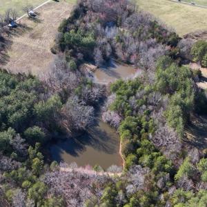 Photo #82 of 7941 Sugar Hill Road, Brookneal, VA 48.6 acres