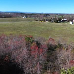 Photo #80 of 7941 Sugar Hill Road, Brookneal, VA 48.6 acres