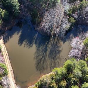 Photo #81 of 7941 Sugar Hill Road, Brookneal, VA 48.6 acres