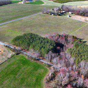 Photo #29 of 7941 Sugar Hill Road, Brookneal, VA 48.6 acres