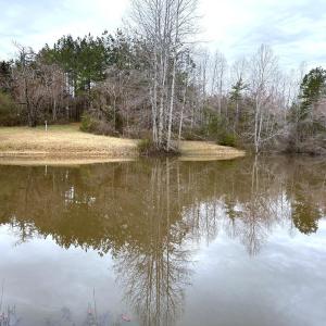 Photo #84 of 7941 Sugar Hill Road, Brookneal, VA 48.6 acres