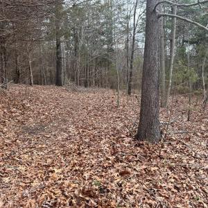 Photo #88 of 7941 Sugar Hill Road, Brookneal, VA 48.6 acres