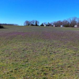 Photo #77 of 7941 Sugar Hill Road, Brookneal, VA 48.6 acres