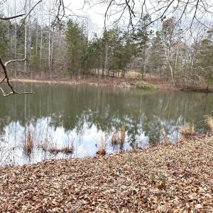 Photo #64 of 7941 Sugar Hill Road, Brookneal, VA 48.6 acres