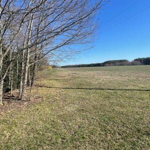 Photo #97 of 7941 Sugar Hill Road, Brookneal, VA 48.6 acres