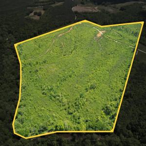 Photo #9 of Three Creeks Road, Gladys, VA 95.6 acres