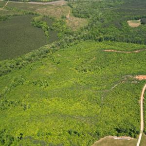 Photo #5 of Three Creeks Road, Gladys, VA 95.6 acres