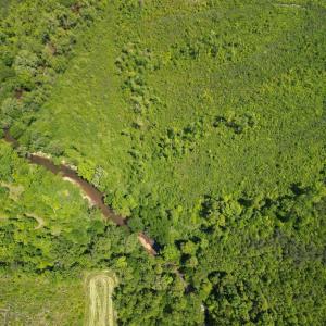 Photo #7 of Three Creeks Road, Gladys, VA 95.6 acres