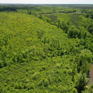 Photo #16 of Three Creeks Road, Gladys, VA 95.6 acres