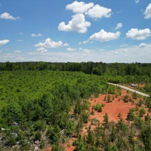 Photo #34 of Three Creeks Road, Gladys, VA 95.6 acres