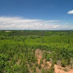 Photo #32 of Three Creeks Road, Gladys, VA 95.6 acres