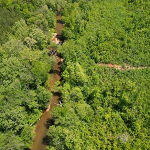 Photo #18 of Three Creeks Road, Gladys, VA 95.6 acres