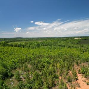 Photo #31 of Three Creeks Road, Gladys, VA 95.6 acres