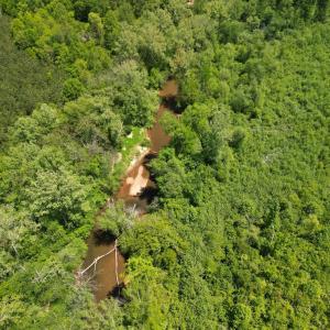Photo #19 of Three Creeks Road, Gladys, VA 95.6 acres
