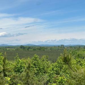 Photo #42 of Three Creeks Road, Gladys, VA 95.6 acres