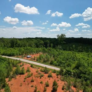 Photo #35 of Three Creeks Road, Gladys, VA 95.6 acres