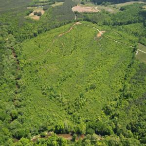Photo #8 of Three Creeks Road, Gladys, VA 95.6 acres
