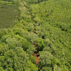 Photo #14 of Three Creeks Road, Gladys, VA 95.6 acres