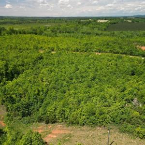 Photo #27 of Three Creeks Road, Gladys, VA 95.6 acres