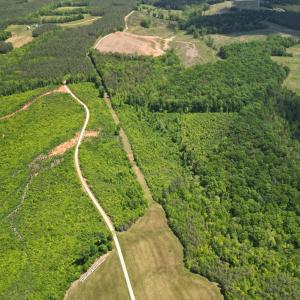 Photo #6 of Three Creeks Road, Gladys, VA 95.6 acres