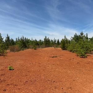 Photo #41 of Three Creeks Road, Gladys, VA 95.6 acres