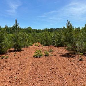 Photo #38 of Three Creeks Road, Gladys, VA 95.6 acres