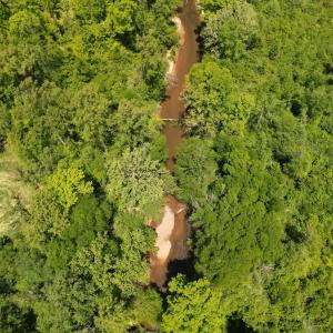 Photo #13 of Three Creeks Road, Gladys, VA 95.6 acres