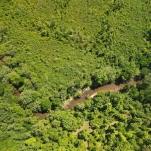 Photo #12 of Three Creeks Road, Gladys, VA 95.6 acres