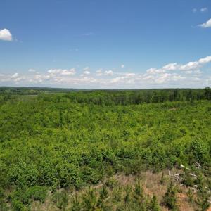 Photo #33 of Three Creeks Road, Gladys, VA 95.6 acres