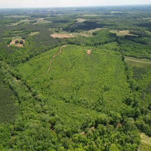 Photo #10 of Three Creeks Road, Gladys, VA 95.6 acres
