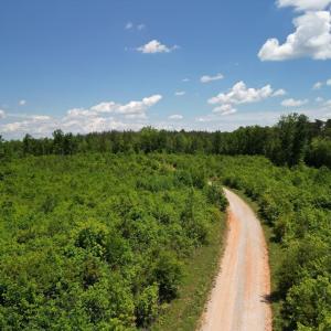 Photo #36 of Three Creeks Road, Gladys, VA 95.6 acres
