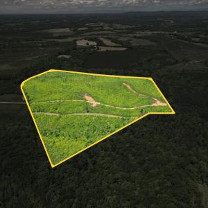 Photo #2 of Three Creeks Road, Gladys, VA 95.6 acres