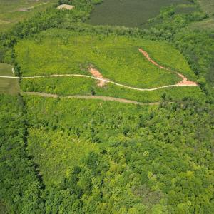 Photo #3 of Three Creeks Road, Gladys, VA 95.6 acres