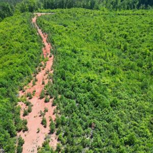 Photo #23 of Three Creeks Road, Gladys, VA 95.6 acres