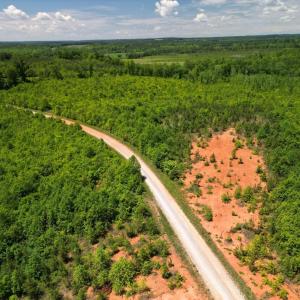 Photo #30 of Three Creeks Road, Gladys, VA 95.6 acres