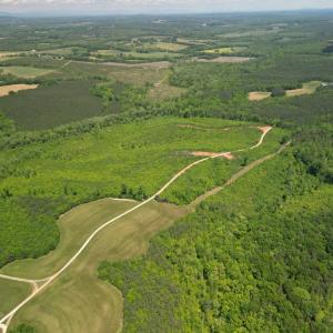 Photo #4 of Three Creeks Road, Gladys, VA 95.6 acres