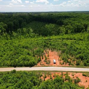 Photo #26 of Three Creeks Road, Gladys, VA 95.6 acres