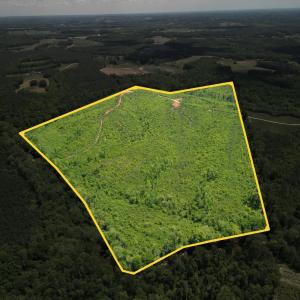 Photo #11 of Three Creeks Road, Gladys, VA 95.6 acres