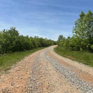 Photo #43 of Three Creeks Road, Gladys, VA 95.6 acres