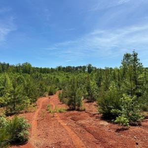 Photo #40 of Three Creeks Road, Gladys, VA 95.6 acres