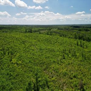 Photo #21 of Three Creeks Road, Gladys, VA 95.6 acres