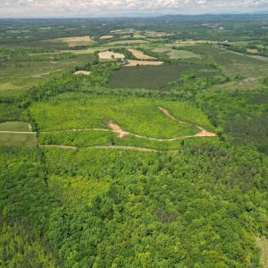 Photo #1 of Three Creeks Road, Gladys, VA 95.6 acres